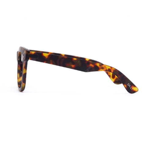 Daily Eyewear - 11am Brown Tort