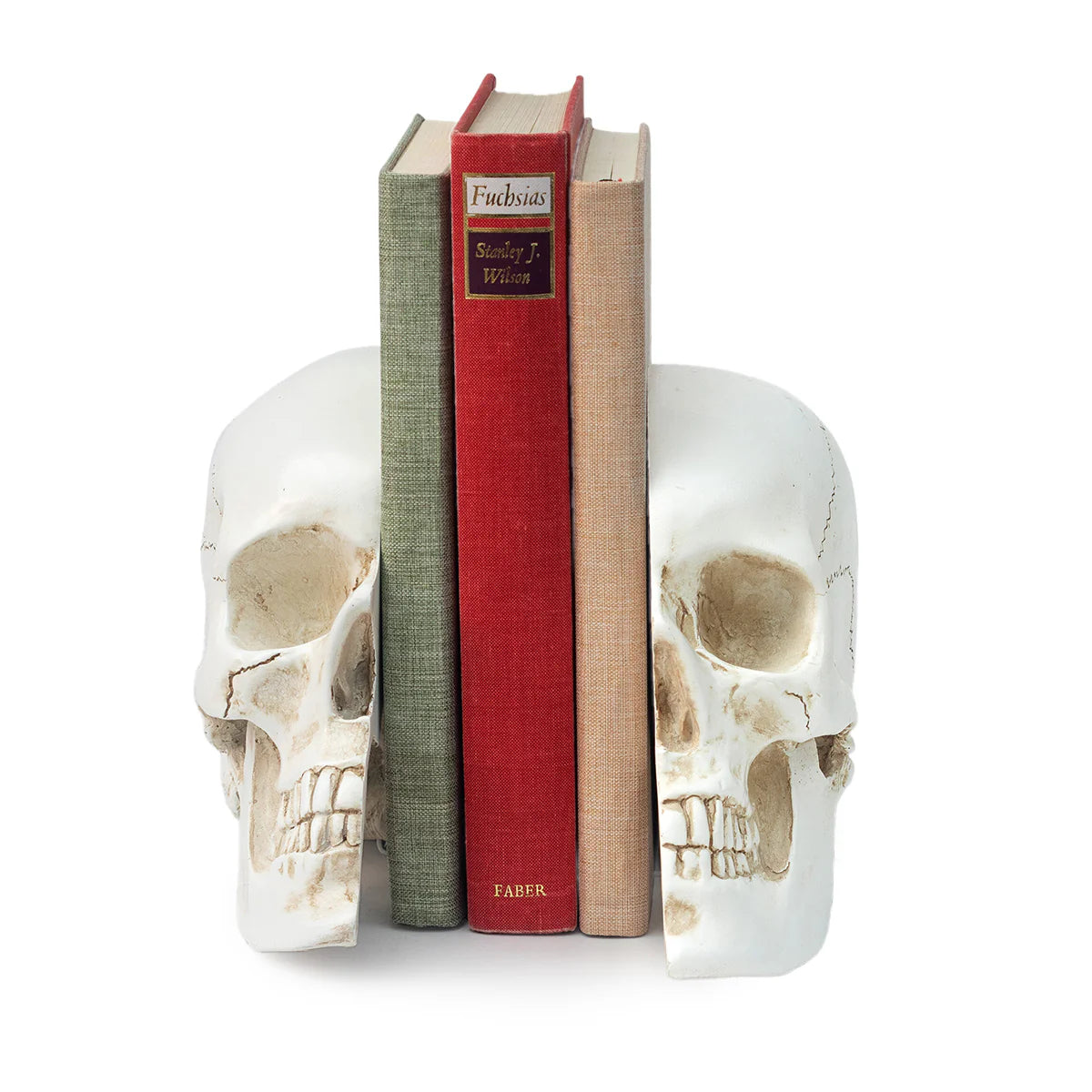 Skull Bookends