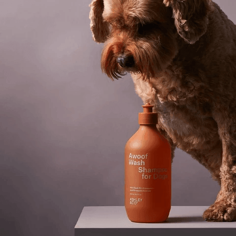 Awoof Wash - Dog Shampoo - Humble & Grand Homestore