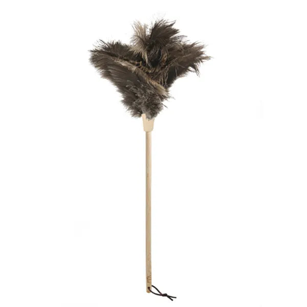 Feather Duster - Brown Feathers