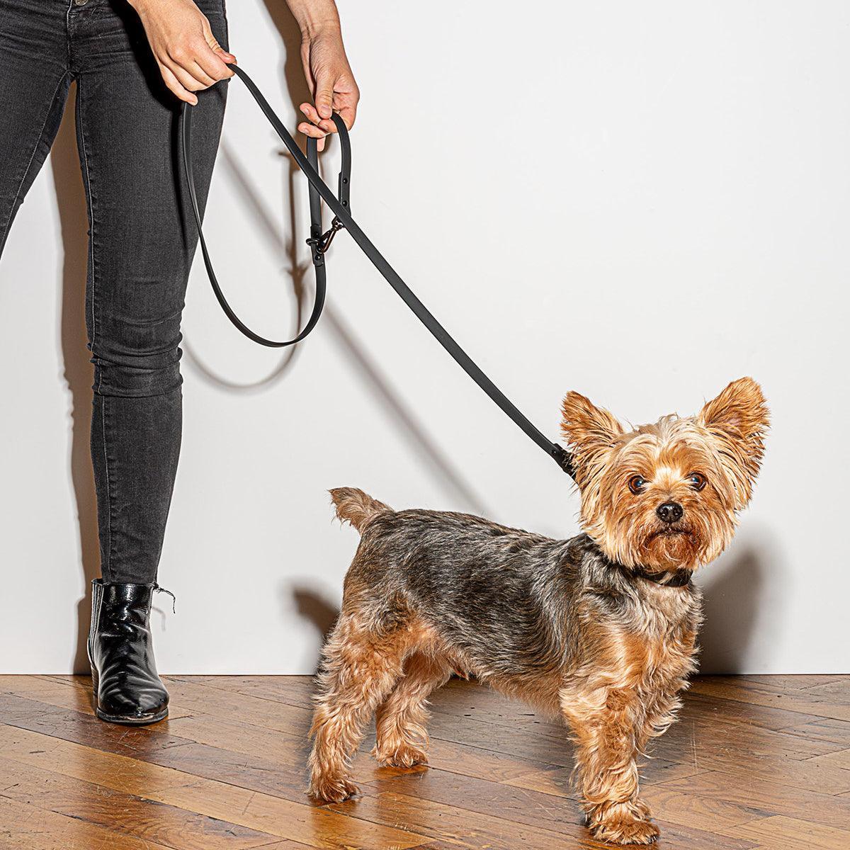 Dog Leash - Black - Humble & Grand Homestore