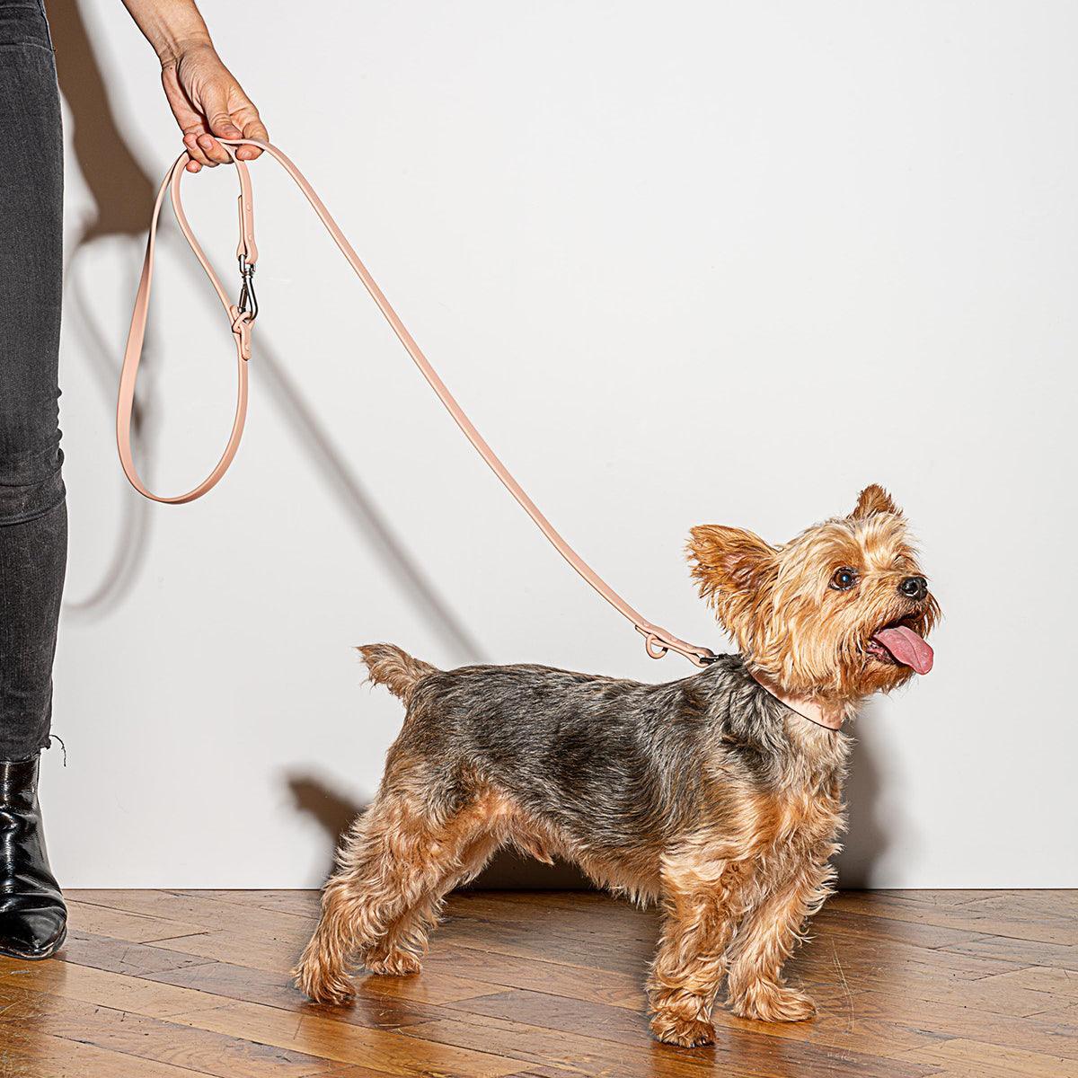 Dog Leash - Blush - Humble & Grand Homestore