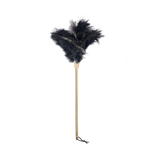 Feather Duster - Black Feathers