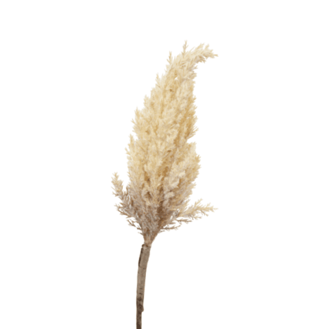 Faux Dried-Look Astilbe Spray - Brown 86cm - Humble & Grand Homestore