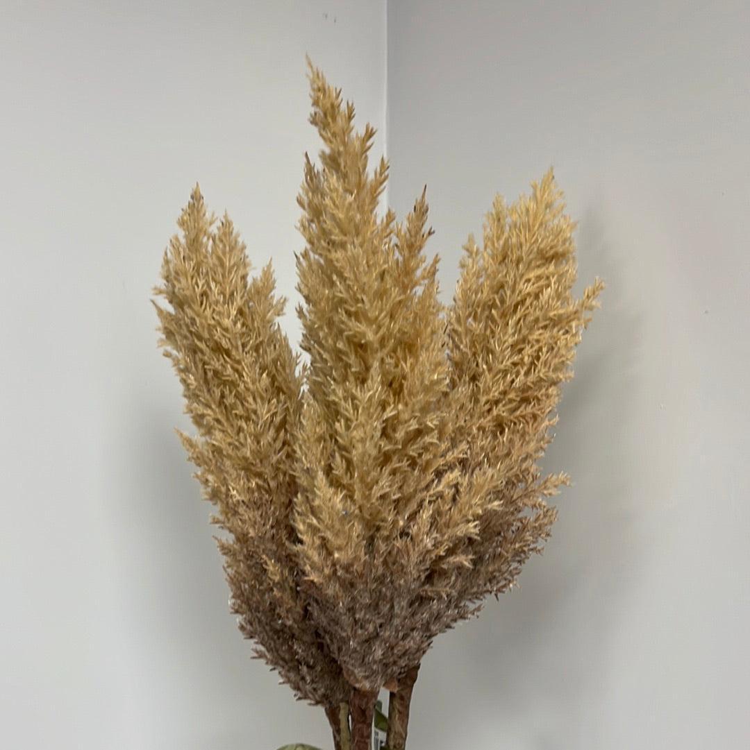 Faux Dried-Look Astilbe Spray - Brown 86cm - Humble & Grand Homestore