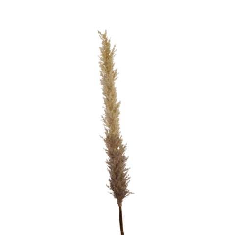 Faux Dried-Look Astilbe Spray - Brown 99cm - Humble & Grand Homestore