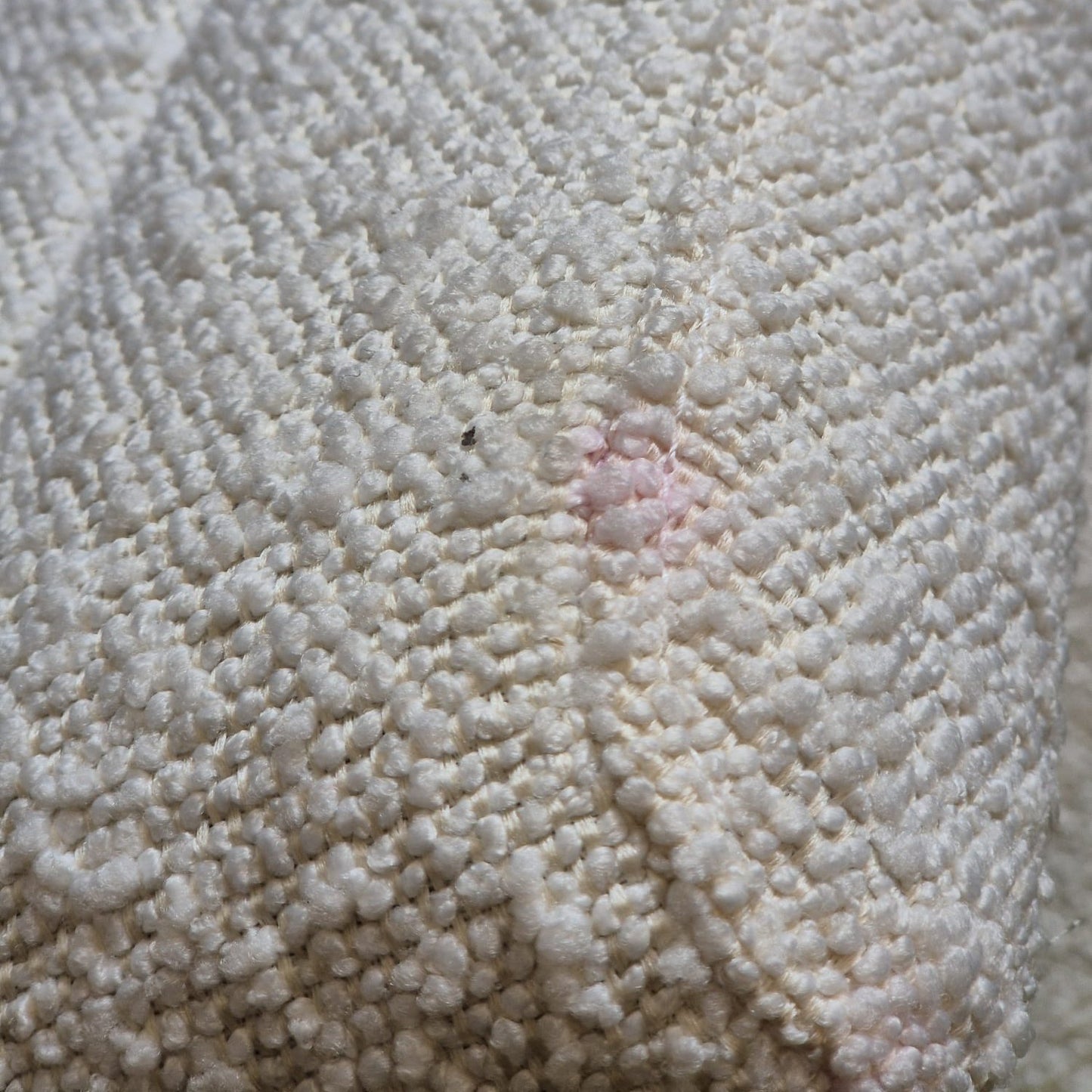 Blake Chair - Boucle (Faulty)