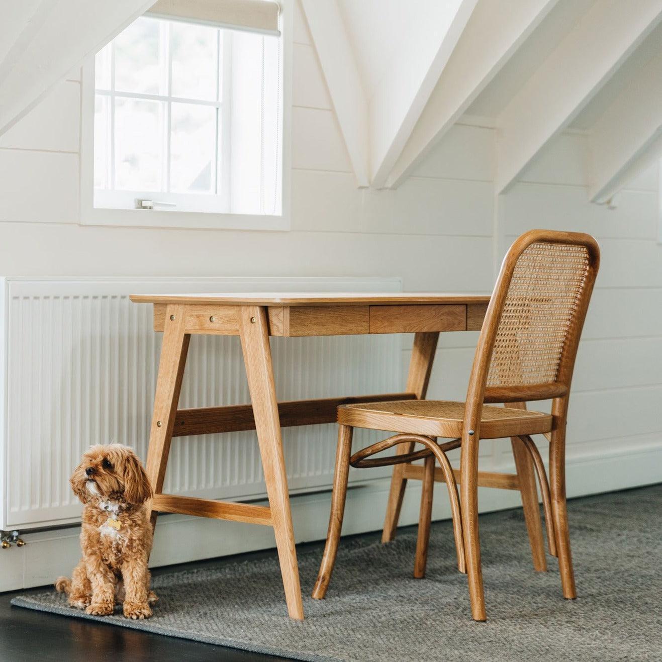 Matai Dining Chair - Oak - Humble & Grand Homestore